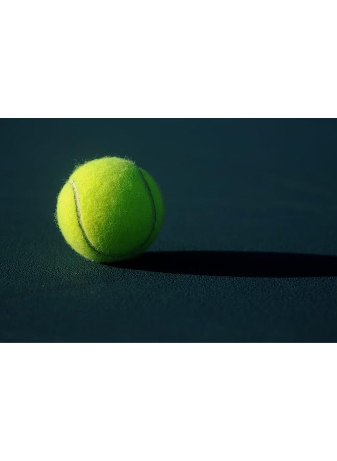 Biella Biella Biellaâ„¢ 1 Piece Regular Quality Tennis Ball, Suitable For All Court  - Image 5