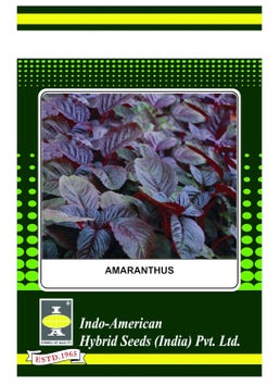 AMARANTHUS INDAM LAL Pack of 3
