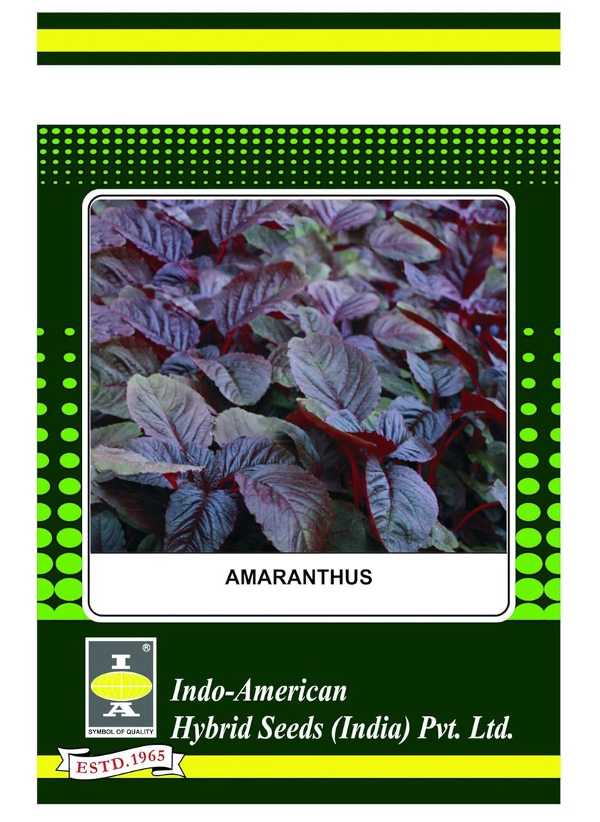 I A SYMBOL OF QUALITY AMARANTHUS INDAM LAL Pack of 3  - Image 1