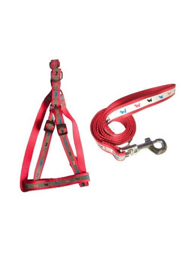 مجموعة حزام من النايلون قابل للتعديل مقاس 3/4 بوصة مع حزام من النايلون مطبوع عليه كلب صغير للجراء من الحجم المتوسط والكبير 0.75 بوصة 22 مم (أحمر) - Image 1