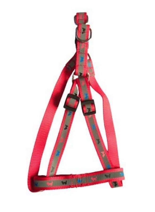 مجموعة حزام من النايلون قابل للتعديل مقاس 3/4 بوصة مع حزام من النايلون مطبوع عليه كلب صغير للجراء من الحجم المتوسط والكبير 0.75 بوصة 22 مم (أحمر) - Image 3