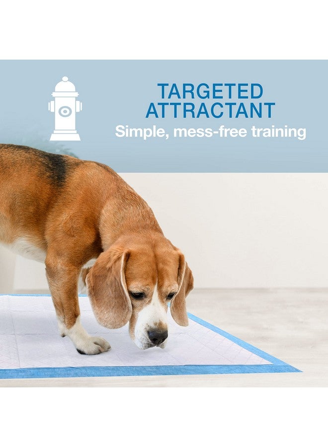 Four Paws Wee-Wee Superior Performance Unscented Pee Pads for Dogs & Puppies, Quilted Leak-Proof Dog Housebreaking Potty Training Floor Protection, 22" x 23", 100 Count - Image 5