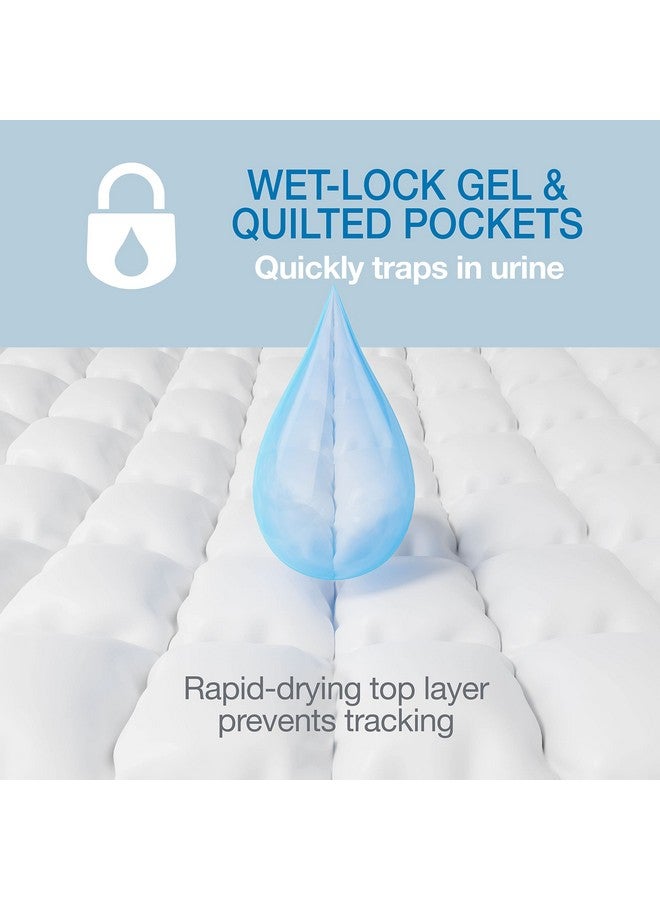 Four Paws Wee-Wee Superior Performance Unscented Pee Pads for Dogs & Puppies, Quilted Leak-Proof Dog Housebreaking Potty Training Floor Protection, 22" x 23", 100 Count - Image 3