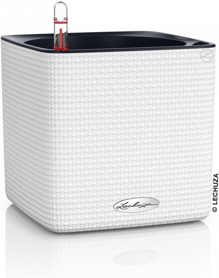 Cube Color 16 Self-Watering Garden Planter, White, 7" x 7" x 6"