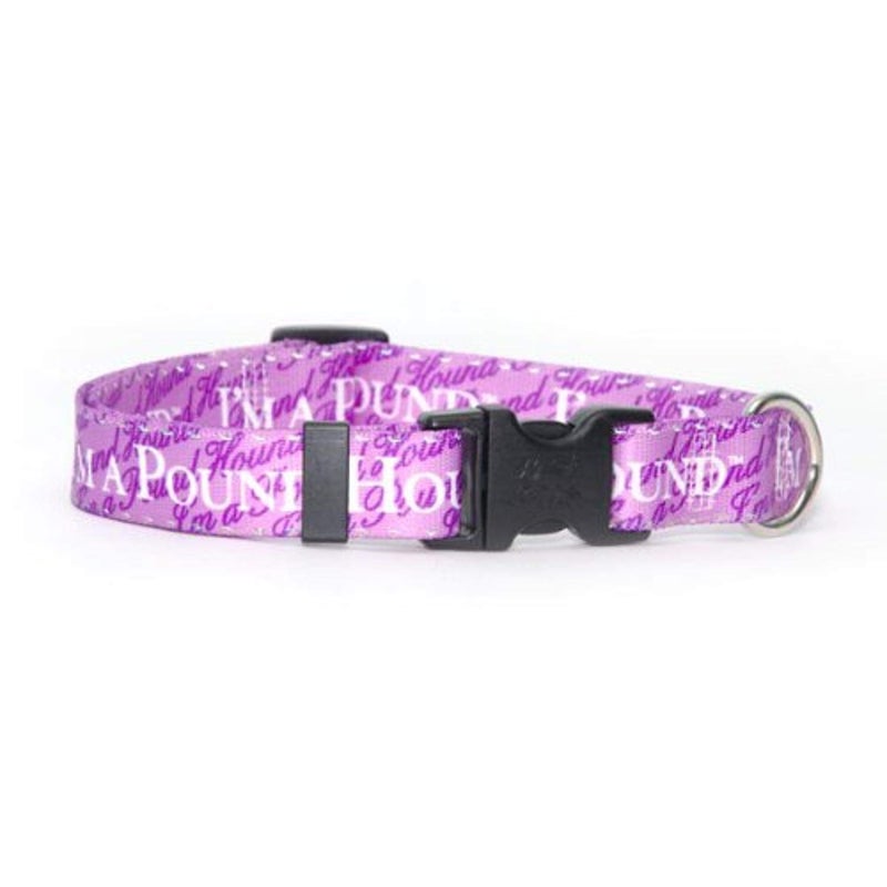 Yellow Dog Design Pound Hound Dog Collar, Small-3/4 Wide fits Neck Sizes 10 to 14" - Image 5