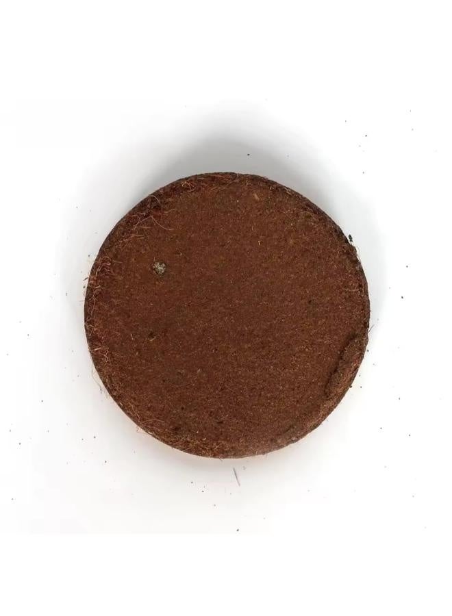 NomoyPet NOMOY Coco Fiber Round Small 70 gms - Image 4