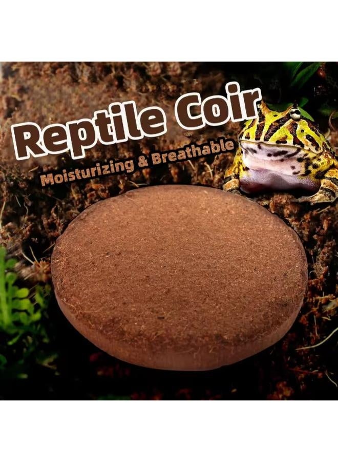 NomoyPet NOMOY Coco Fiber Round Small 70 gms - Image 3