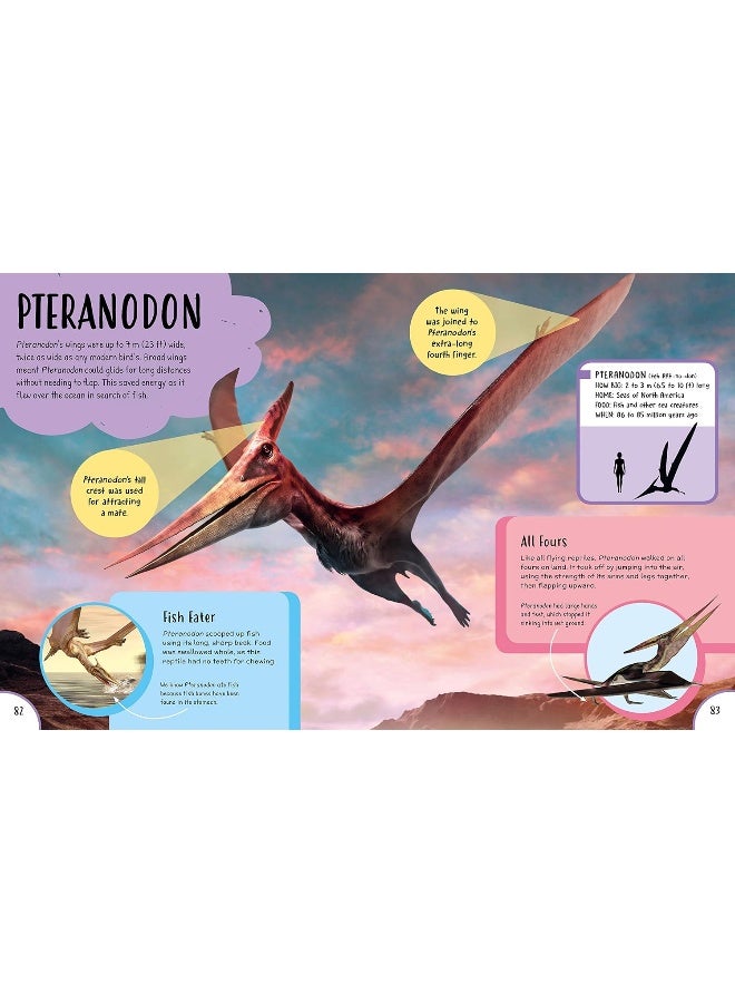 Children's First Dinosaur Encyclopedia - Image 1