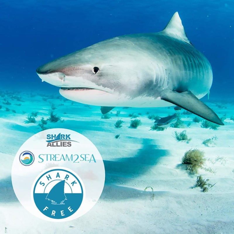 STREAM 2 SEA Squalane Olive Based, Reef Safe Certified Shark Free Plant Based Vitamin E Infused Face Moisturizer and Boosts Collagen Production, Biodegradable Skin and Hair Care, 2 Fl Oz - Image 2