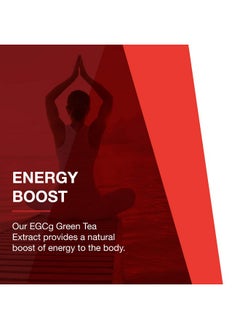 Protocol Egcg Green Tea Extract 200Mg Oxidative Stress Quencher Cellular Health 90 Veg Caps - pzsku/Z9D798D265F8B6319B047Z/45/_/1698053506/f26d292a-29f6-4ca6-a19b-30b4221f2e14