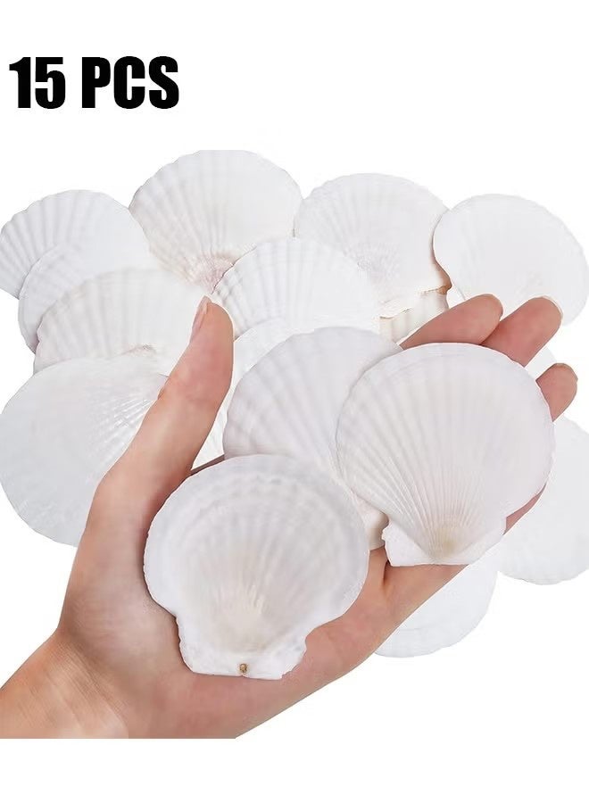 واي جيه 15 قطعة من قذائف الإسكالوب الطبيعية 2-3 بوصة أصداف البحر البيضاء من الشاطئ لديكور منزلي DIY للأصداف المشوية للطعام ، أبيض - Image 1