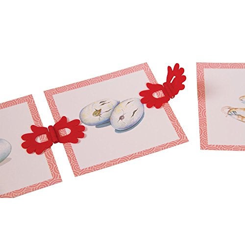 hand2mind Clip-itz Life Cycle Card Set - Image 5