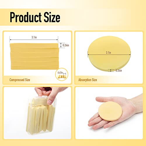 Luxiv 240+1 Count Compressed Facial Sponges, Luxiv Round Face Sponge Professional Compressed Makeup Removal Sponges for Estheticians Wash Face Sponge Compress Exfoliating Spa Pads With Portable Case - Image 2