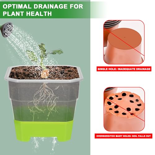 Aobiono 10 Packs 4 Inch Clear Nursery Pots with Reinforced Silicone Base for Easy Transplant, Reusable Seed Starter Seedling Small Plant Flower Pots with Drainage (Green, 10 Packs) - Image 5