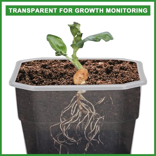 Aobiono 10 Packs 4 Inch Clear Nursery Pots with Reinforced Silicone Base for Easy Transplant, Reusable Seed Starter Seedling Small Plant Flower Pots with Drainage (Green, 10 Packs) - Image 4