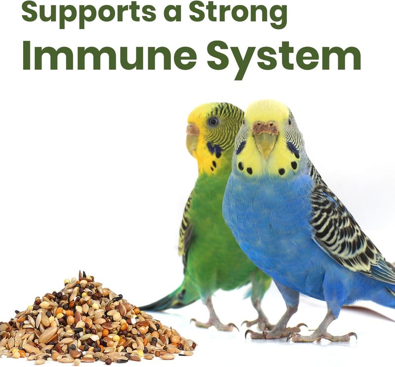 BRANDSFINITY Premium Bird Feed For Budgies And Shell Parakeets - Image 5