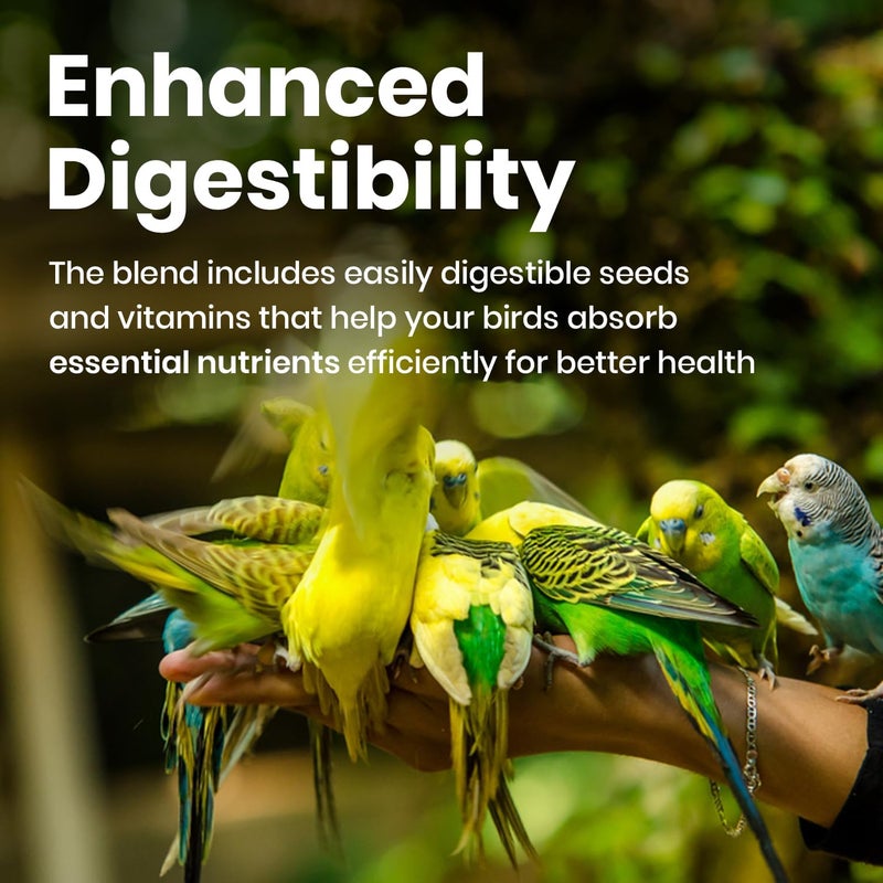 BRANDSFINITY Premium Bird Feed For Budgies And Shell Parakeets - Image 3