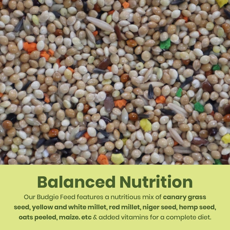 BRANDSFINITY Premium Bird Feed For Budgies And Shell Parakeets - Image 2