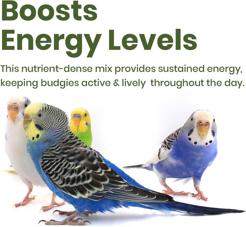 BRANDSFINITY Premium Bird Feed For Budgies And Shell Parakeets - Image 4