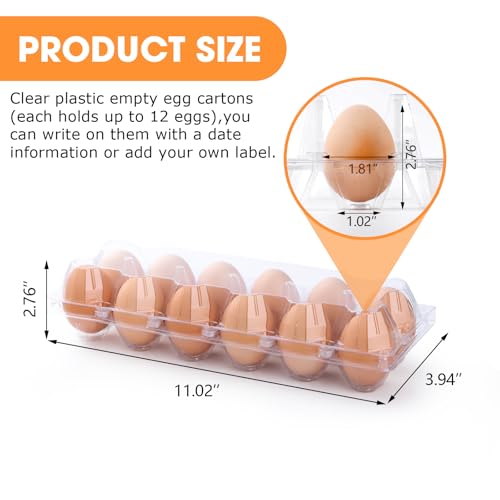 AYAYGD 100 Pack Plastic Egg Cartons Cheap Bulk1 Dozen Clear Empty Egg Containers for Chicken Eggs 2x6 Grids Reusable Egg Holder Egg Trays for Family Chicken Farm Markets Display Medium Egg Container - Image 3
