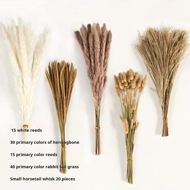 Bluejw G43 Pampas Grass Bouquet, 80pcs Natural Dried Phragmites Flowers for Wedding Home Decor, Valentine's Day Christmas Dried Plants - Image 1