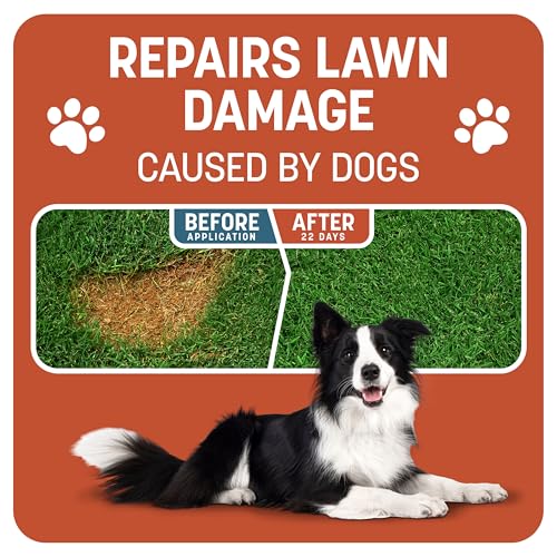 Pennington Smart Patch Bermudagrass 5lb 100 sq. ft. Grass Seed Bare Spot Repair with Mulch and Fertilizer - Image 3