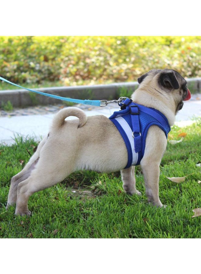 NIBEMINENT Reflective Design Pet Chest Vest Starp Blue Large - Image 3