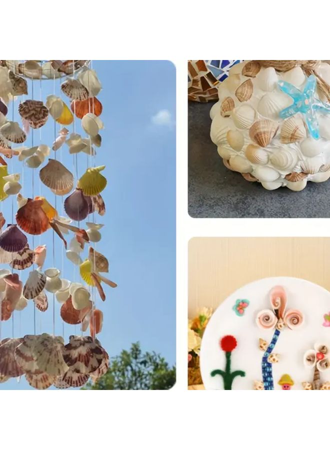 100pcs White Small Shells For DIY Mosaic Photo Frames Crafts Home Decor Wedding - Image 5