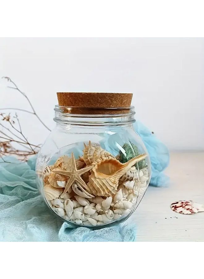 100pcs White Small Shells For DIY Mosaic Photo Frames Crafts Home Decor Wedding - Image 3