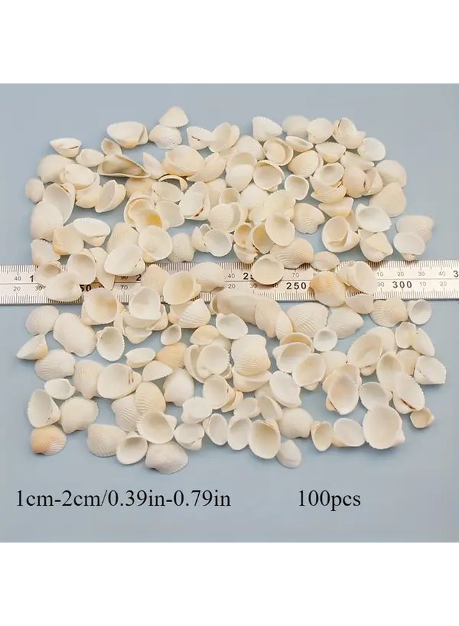 100pcs White Small Shells For DIY Mosaic Photo Frames Crafts Home Decor Wedding - Image 2