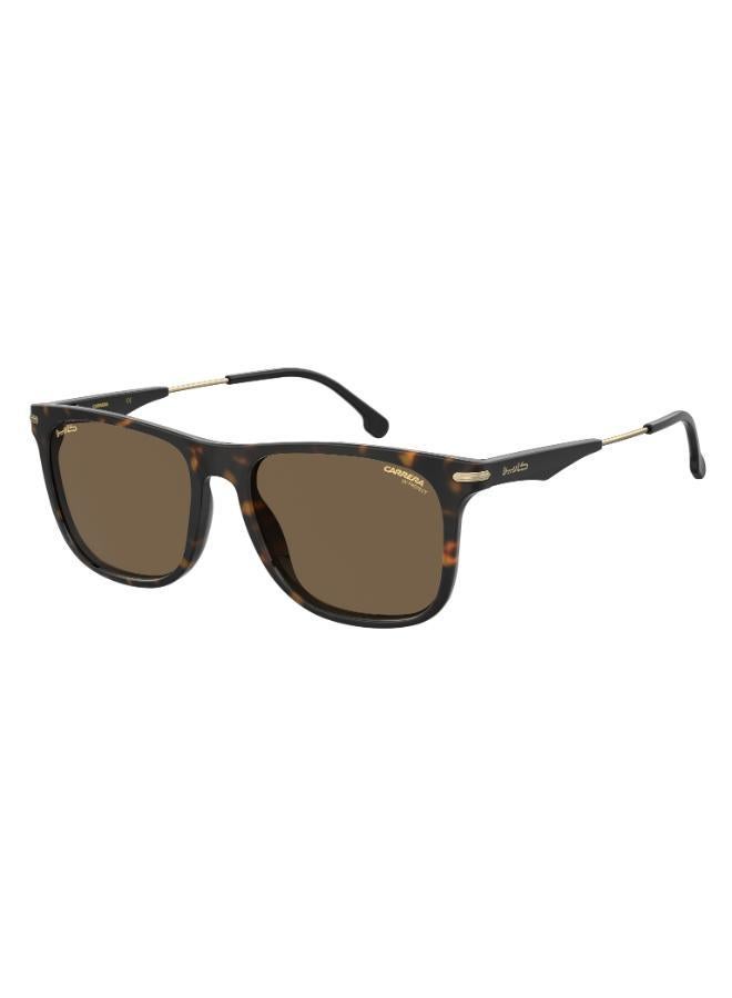 Carrera Wayfarers Sunglasses - Image 1
