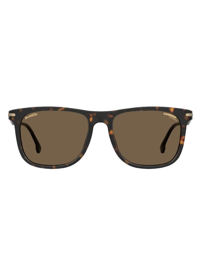 Carrera Wayfarers Sunglasses - Image 3