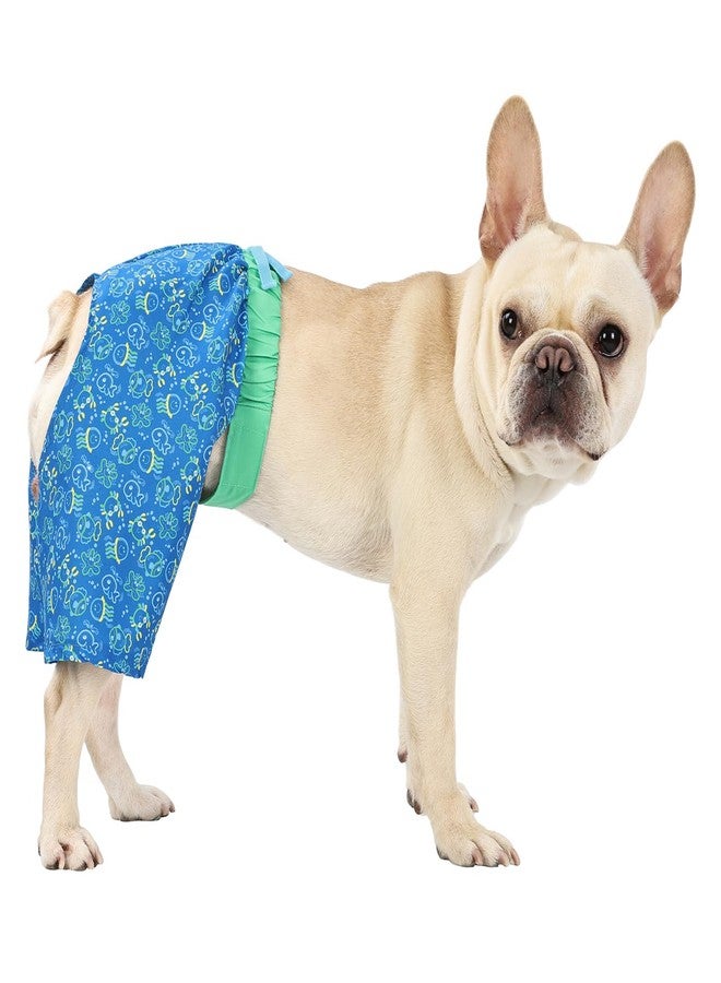 إتش دي إي شورت سباحة للكلاب من HDE، بتصميم هاواي، مناسب للشاطئ وحمام السباحة، متوفر بمقاسات من XS إلى XXL، مزين برسومات مخلوقات بحرية متوهجة - مقاس متوسط - Image 2