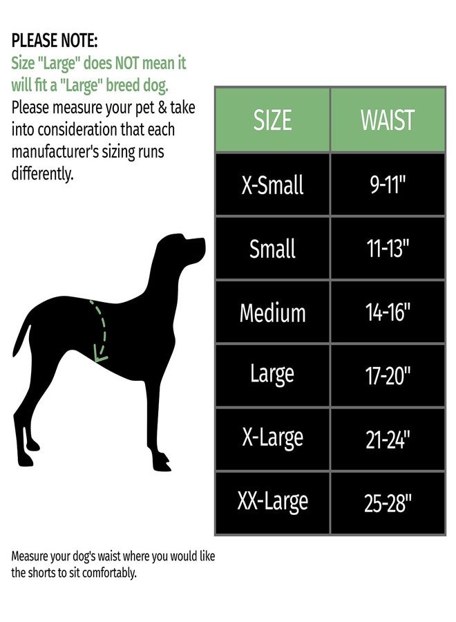 إتش دي إي شورت سباحة للكلاب من HDE، بتصميم هاواي، مناسب للشاطئ وحمام السباحة، متوفر بمقاسات من XS إلى XXL، مزين برسومات مخلوقات بحرية متوهجة - مقاس متوسط - Image 3