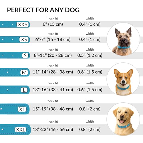 CollarDirect Rolled Leather Dog Collar, Soft Padded Round Puppy Collar, Handmade Genuine Leather Collar Dog Small Large Cat Collars 13 Colors (13-16 Inch, Light Blue) - Image 4