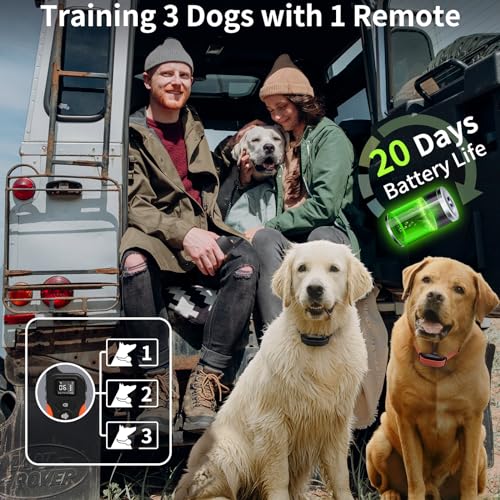 PaiPaitek Dog Vibration Collar with Controller for 2 Dogs No Shock, 9 Types of Beeps and Vibrations, 3300ft Range & Upgraded Waterproof Training Collar for Dogs 5-120lbs - No Prongs - Image 5