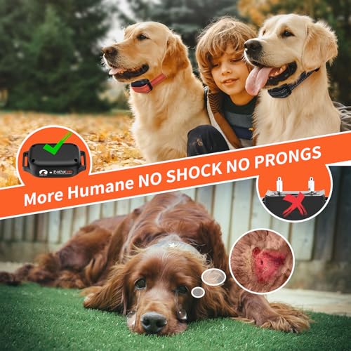 PaiPaitek Dog Vibration Collar with Controller for 2 Dogs No Shock, 9 Types of Beeps and Vibrations, 3300ft Range & Upgraded Waterproof Training Collar for Dogs 5-120lbs - No Prongs - Image 2