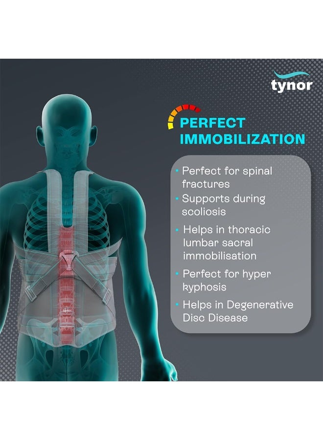 تاينور TYNOR دعامة تايلور الطويلة، رمادي، مقاس XXL، قطعة واحدة - Image 2