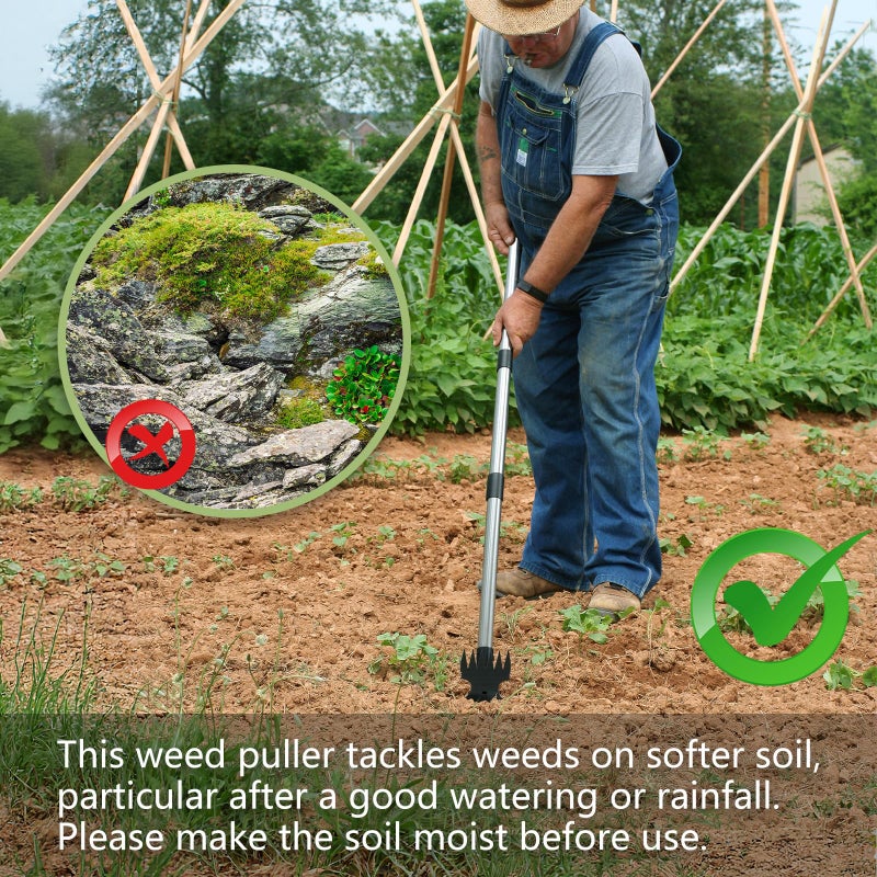 Mitclear Weed Puller Tool with Long Handle(58IN), 2-in-1 Gardening Hand Tools Weeds Remover, Weeder Rake & Garden Hoe Combo, Manual Weeding Puller Tool for Garden Yard Patio Lawn - Image 3