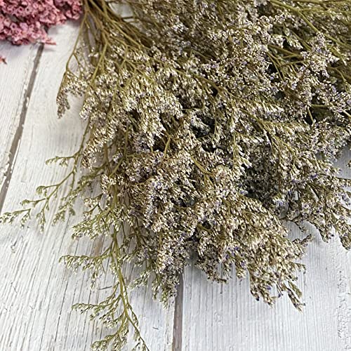 Birtlynn Preserved Caspia Statice Flower Bouquets 100 Natural Long Lasting Flowers 17 Inch Arrangements for Vase Home Decoration Photo Props Parties and Weddings DIY DcorStatice - Image 3