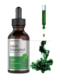 Horbäach Liquid Chlorophyll Natural Peppermint Flavor 2 fl oz 