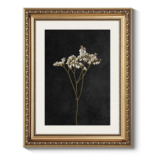 ARPEOTCY Vintage Gold Framed Wall Art Bathroom Bontanical Picture Decor Aesthetic Retro Dark Dried Wildflower Paintings Canvas Prints Classical Victorian Decor for Living Room Bedroom 11x14 inch - Image 1