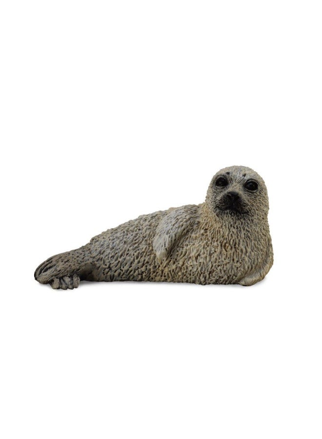 Collecta - Spotted Seal Pup - 88681