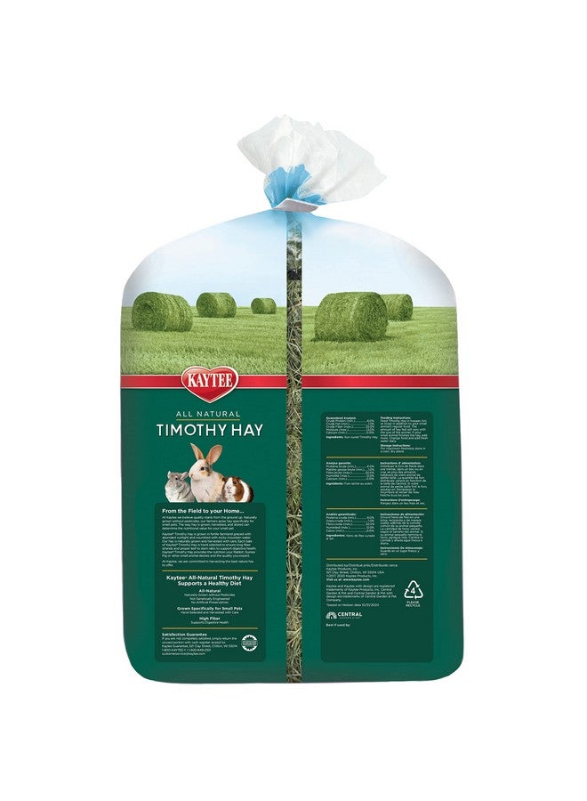 كايتي تبن تيموثي طبيعي بالكامل من كايتي لخنازير غينيا والأرانب والحيوانات الصغيرة الأخرى، 3 أرطال - Image 1