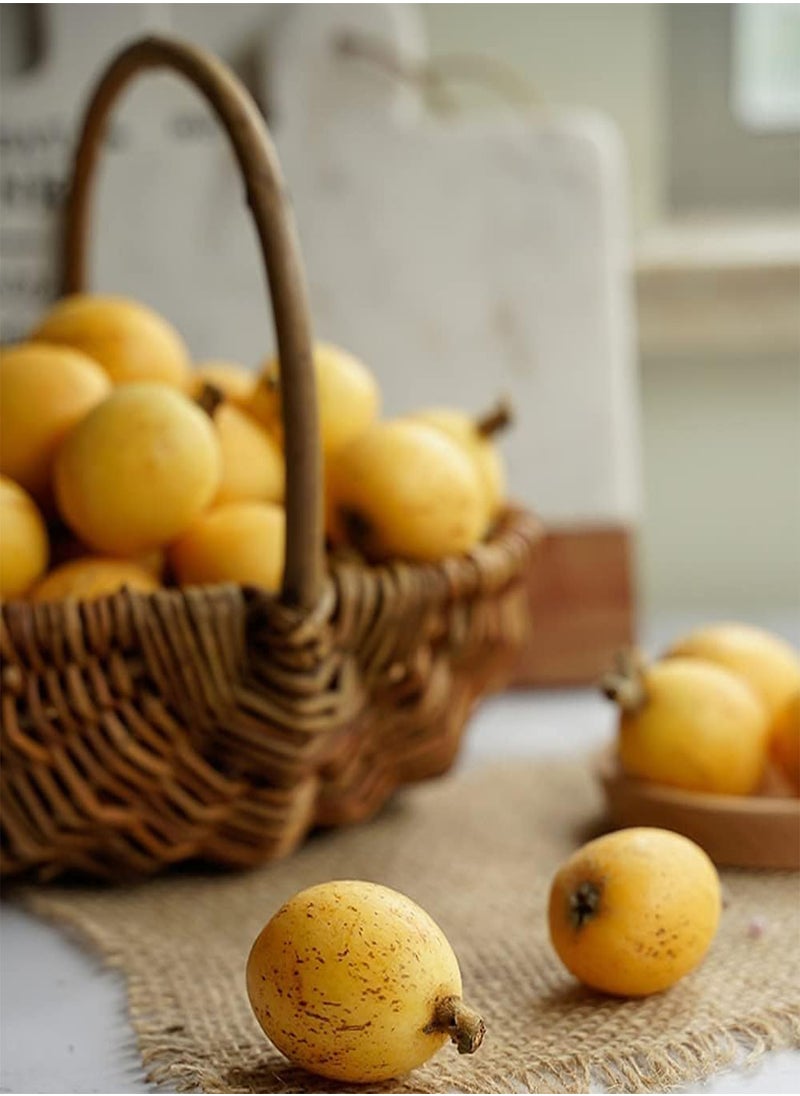 15pcs Yellow Unique Heirloom Loquat Seeds for Planting in Open Areas Strong Adaptability Vitality Tenacious Unanimously Praised by Planters