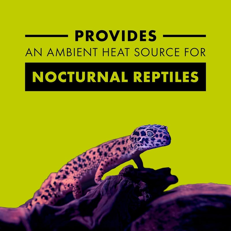 Zilla Night Black Heat Incandescent Bulb for Reptiles - 75 Watt - Image 2