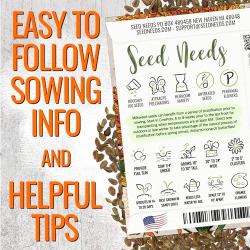 Seed Needs Orange Milkweed Seeds for Planting Butterfly Weed - Heirloom & Untreated Perennial Flower Seed to Grow a Monarch Butterfly Garden (2 Packs) - Image 4