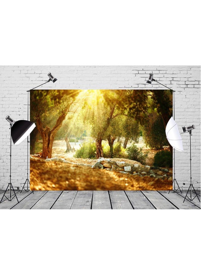 History & Heraldry 7x5ft Fabric Olive Trees Garden Backdrop for Photography Mediterranean Olive Orchard with Old Olive Tree Sunshine Wonderland Rural Natural Scenery Background Wall Mural Photo Studio Props - Image 3
