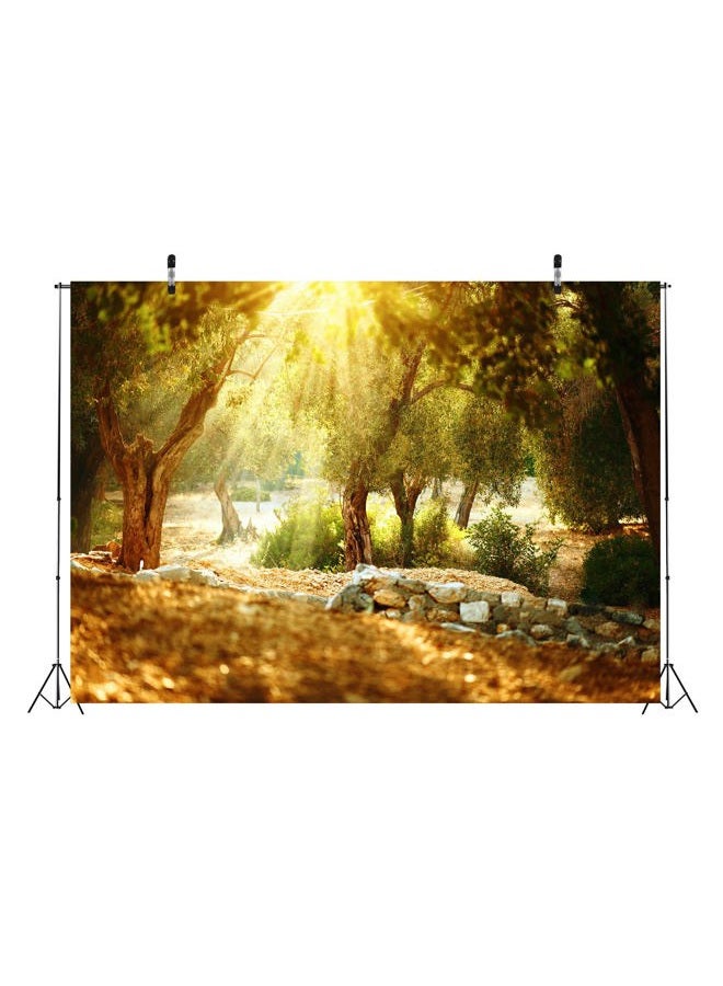 History & Heraldry 7x5ft Fabric Olive Trees Garden Backdrop for Photography Mediterranean Olive Orchard with Old Olive Tree Sunshine Wonderland Rural Natural Scenery Background Wall Mural Photo Studio Props - Image 4