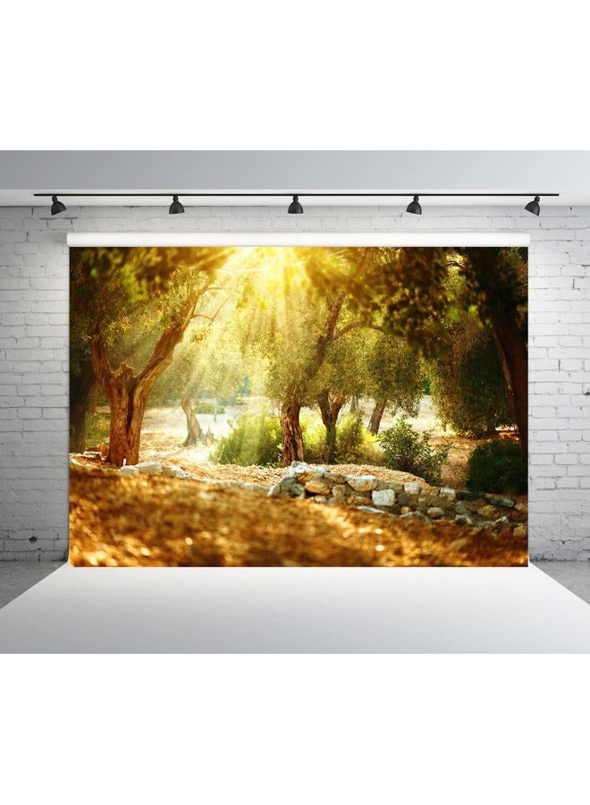 History & Heraldry 7x5ft Fabric Olive Trees Garden Backdrop for Photography Mediterranean Olive Orchard with Old Olive Tree Sunshine Wonderland Rural Natural Scenery Background Wall Mural Photo Studio Props - Image 2
